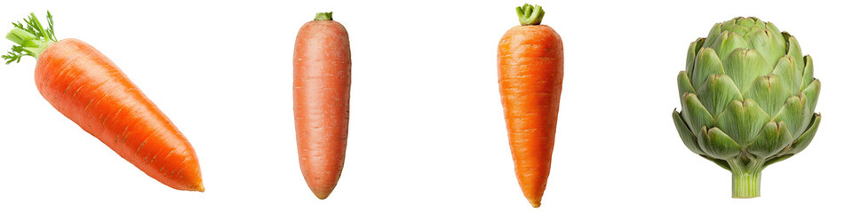 Obraz premium Carrots and artichoke, white isolate background