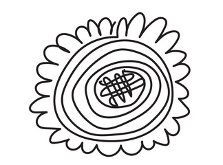 Hand drawn flower isolated. Doodle sketch of flowers, blossom scribble design elements, bloom drawing