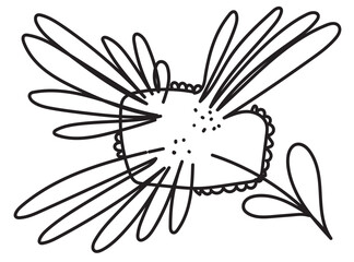 Hand drawn flower isolated. Doodle sketch of flowers, blossom scribble design elements, bloom drawing