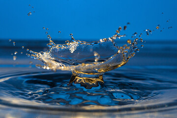 cwphotoart