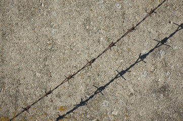 Fototapeta premium barbed wire and its shadow against a concrete wall