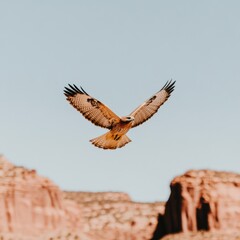 Naklejka premium Hawks soaring above a canyon in the sky with space for text.