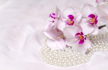 The branch of purple orchids on white fabric background
