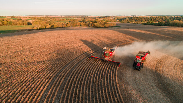 A combine harvester cutting through golden crops  during harvest