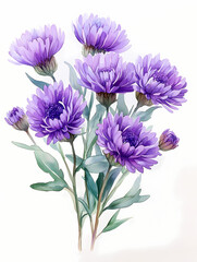 Obraz premium purple flowers on white 