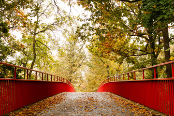 Many fallen leaves on a bridge. Autumn in a park