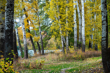 
Cold autumn day in a park on the river bank.
