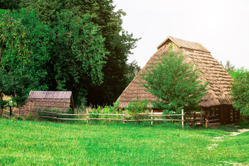 summer Ukrainian village country side grass land on forest edge landscape environment space