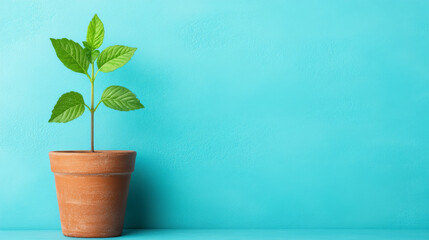 Fototapeta premium Tiny Sprout, Big Dreams: A small plant in a terracotta pot against a vibrant blue background symbolizes growth, new beginnings, and potential.
