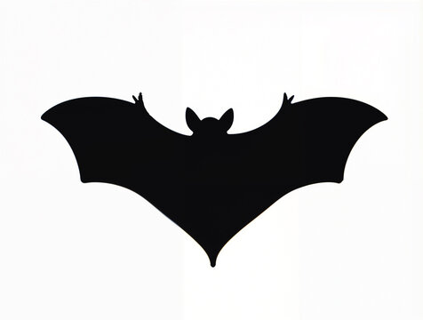 Bat silhouette isolated on white background.