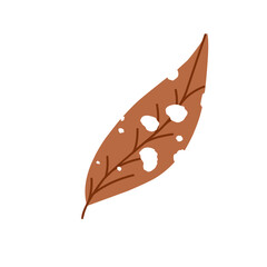 Illustration of a leaf with holes. Illustration of a dry brown leaf with holes from insect bites