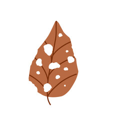 Illustration of a leaf with holes. Illustration of a dry brown leaf with holes from insect bites