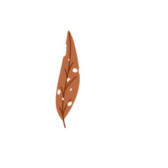 Illustration of a leaf with holes. Illustration of a dry brown leaf with holes from insect bites