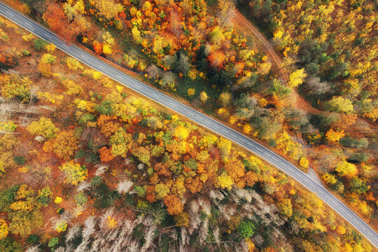 Luftaufnahme einer Stra&szlig;e die durch einen bunt gef&auml;rbten Wald verl&auml;uft