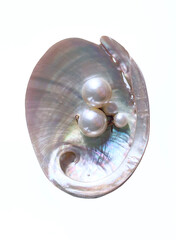 Several beautiful mother-of-pearl jewelry are lying in a seashell. isolated object