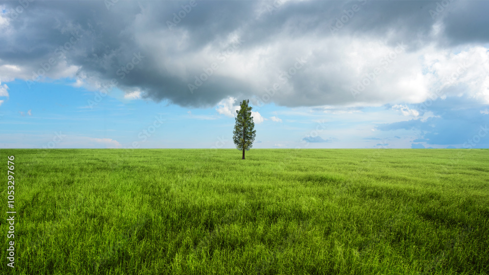Poster one tree on the meadow field with blue sky and clouds in the background
