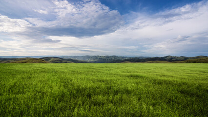 Fototapeta premium Meadow field with mountain range with blue sky and clouds in the background