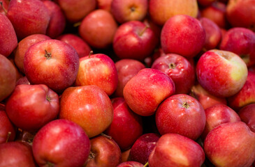 Ripe sweet red apples close up background