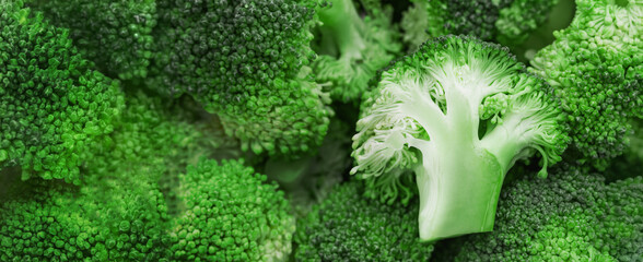 The banner displays a close-up of fresh, vibrant green broccoli florets. The focus is on the intricate texture and details of the broccoli heads, showcasing their natural patterns and fresh appearance