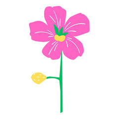 pink flower