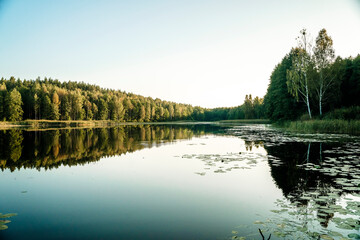 Serene Forest Lake. Lake in a coniferous European forest. Northern nature.