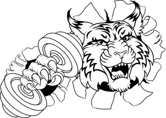 A wildcat cougar lynx lion weight lifting gym animal sports mascot holding a dumbbell weight in his claw
