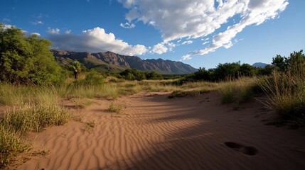 A sandy path leads through a desert landscape towards a mountain range under a blue sky with white clouds.