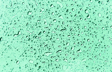 Water drops on green background, green water drops pattern background
