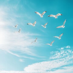 Obraz premium A flock of seagulls soaring through a bright blue sky with fluffy white clouds.