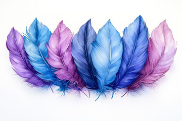 Vibrant Blue and Purple Feathers: Intricate Details on a White Background