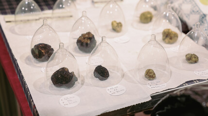 Alba Truffle Festival showcases selection of truffles in unique display at Italian market event