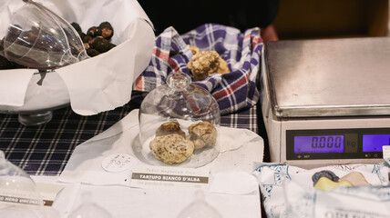 Alba Truffle Festival showcases exquisite white truffles in Italy during culinary event