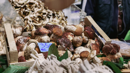 Visitors enjoy the Alba Truffle Festival filled with gourmet mushrooms in Italy during autumn