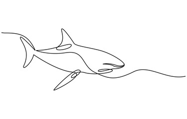 Obraz premium Continuous one line drawing of shark fish. Simple illustration of saltwater fish line art vector illustration, One line drawing of a shark. Graphic vector illustration of shark continuous line drawing