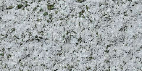 snow on greenery texture background