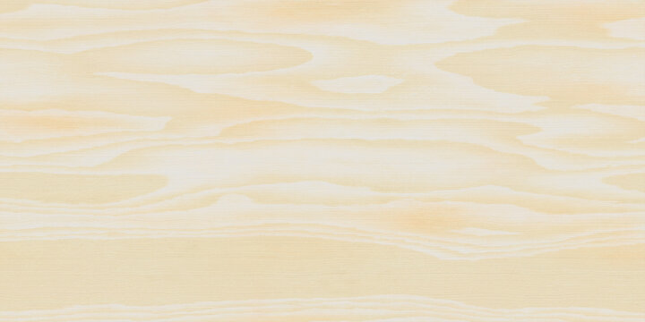 natural poplar wood crown cut texture background
