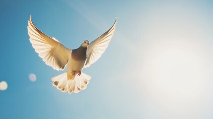 Obraz premium A bird flying freely in a clear blue sky, symbolizing freedom, concept freedom