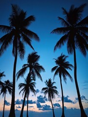 Obraz premium Silhouettes of palm trees against a twilight sky with clouds.