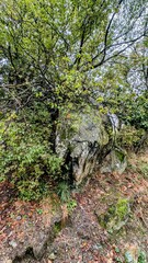 Obraz premium SACRA DI SAN MICHELE - SANT'AMBROGIO DI TORINO (Piémont - Italie)