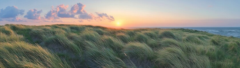 A serene sunset over grassy dunes by the ocean, capturing nature's tranquility.