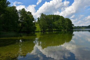 Fototapeta premium A view of a vast river or lake surrounded from all sides with reeds, shrubs, forests, and moors with some water lillies on the surface of the reservoir seen on a cloudy yet warm summer day in Poland