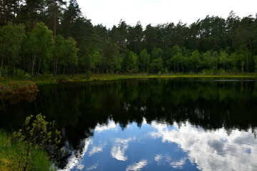 Fototapeta premium A view of a vast river or lake surrounded from all sides with reeds, shrubs, forests, and moors with some water lillies on the surface of the reservoir seen on a cloudy yet warm summer day in Poland