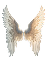 Obraz premium Angelic Wings PNG: Divine and Ethereal Illustration