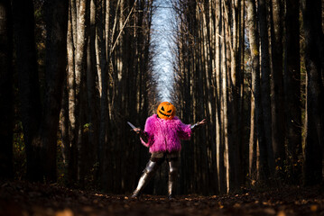 Pumpkin knight