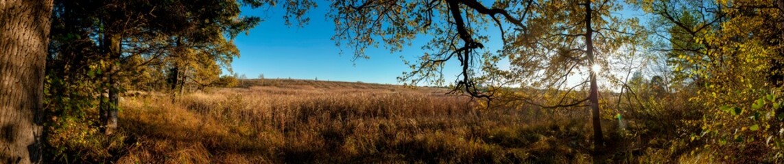 Obraz premium Panoramic nature landscape, soft pastel colors, dream nature, sunset autumn background, peaceful amazing nature panorama