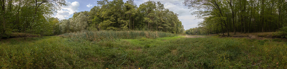 Fototapeta premium Forest and lake HDRI landscape, 360 degree panorama