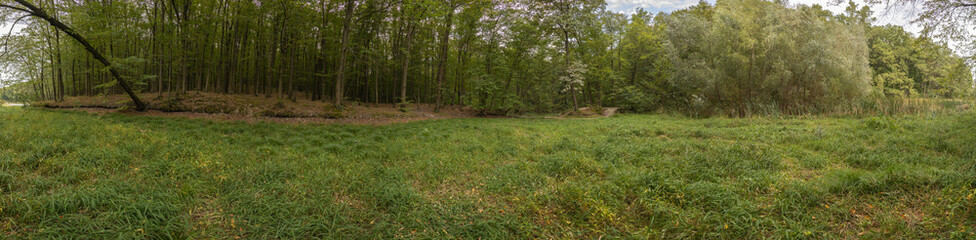 Forest and lake HDRI landscape, 360 degree panorama