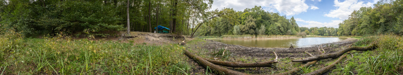 Forest HDRI landscape, 360 degree panorama