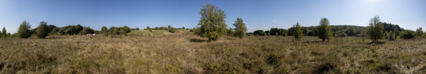 Forest HDRI landscape, 360 degree panorama