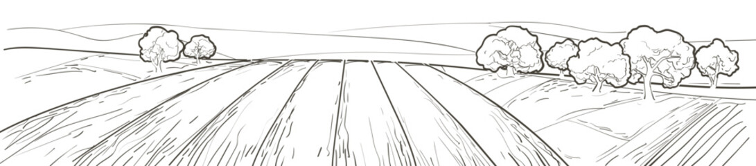 Vector sketch Green grass field on small hills. Meadow, alkali, lye, grassland, pommel, lea, pasturage, farm. Rural scenery landscape panorama of countryside pastures. Watercolor illustration © mozart3737